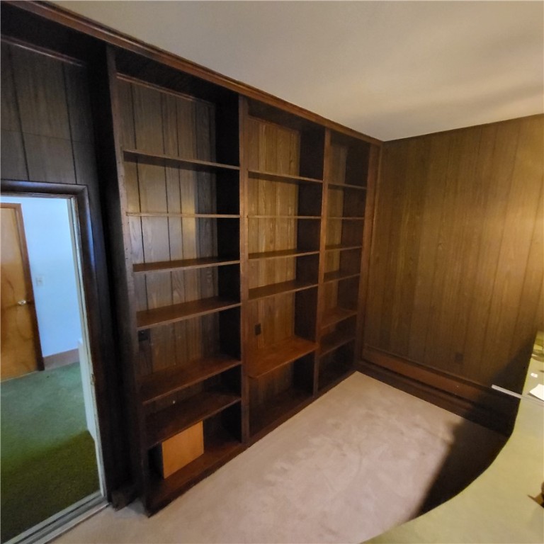 800 Division Street Charleston, IL 61920 - Photo 9 of 23 Family Room built in shelving