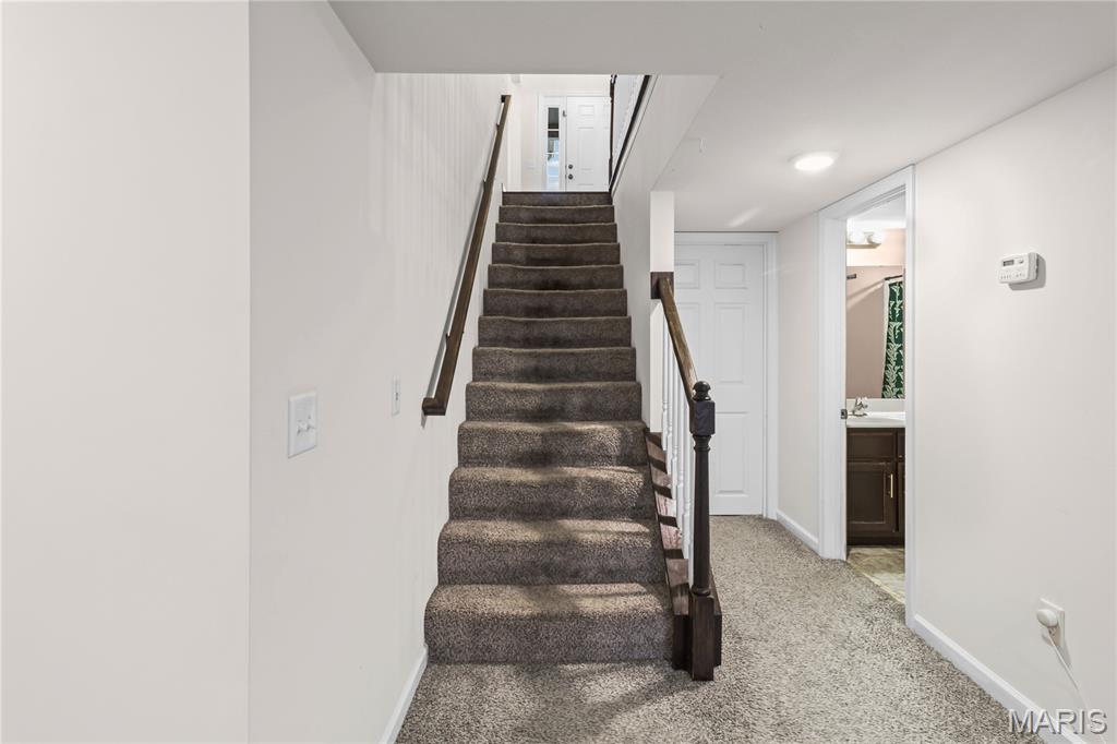 1810 Valley View Circle Festus, MO 63028 - Photo 30 of 48