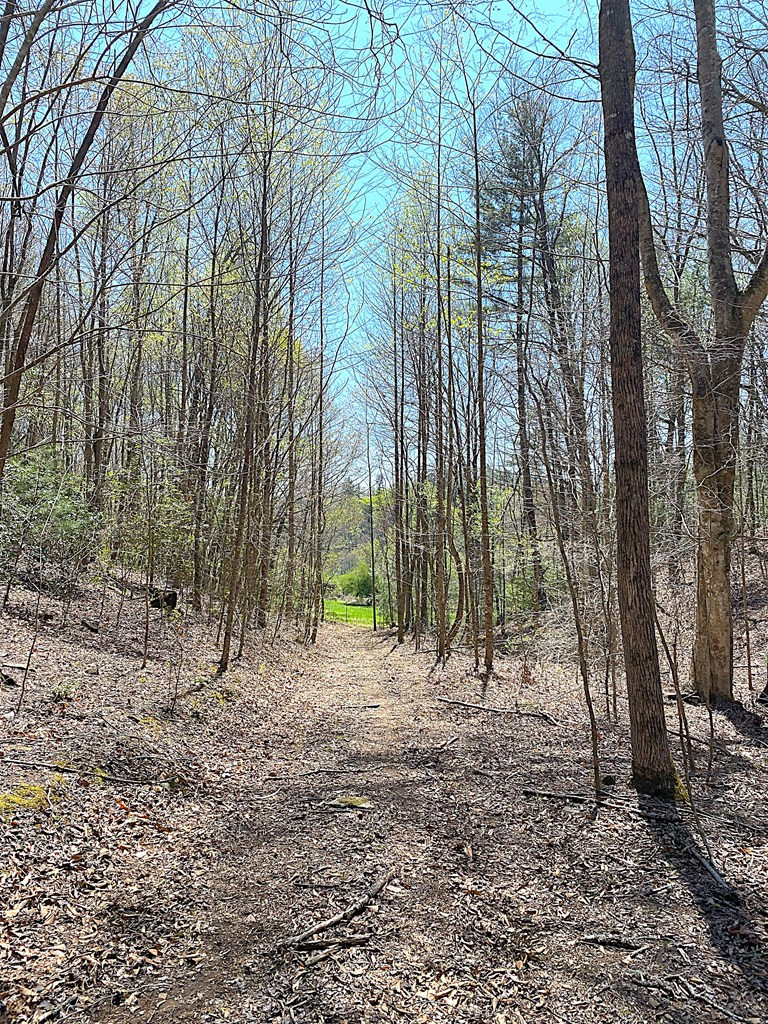 208 Odell Loop Murphy, NC 28906 - Photo 15 of 45