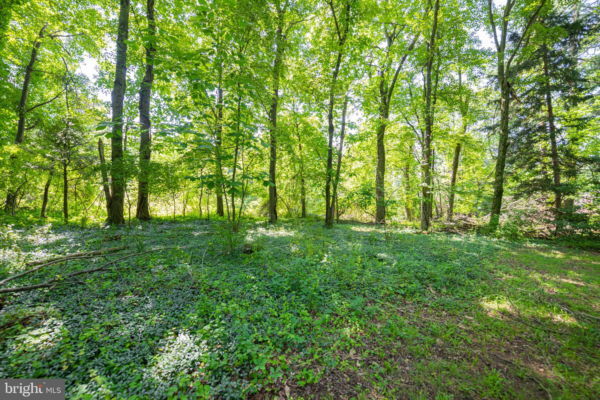 437 Pawlings Road Phoenixville, PA 19460 - Photo 58 of 58