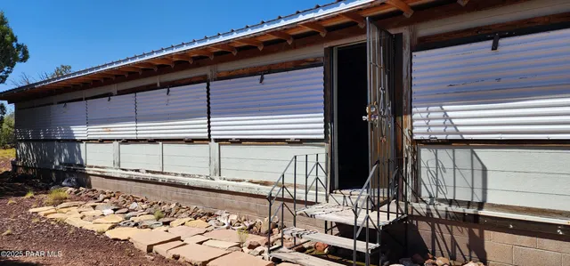 a view of a forest filled with trees