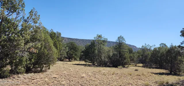 a view of a dirt road with trees in the background