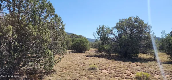 $485,000 | 36950 West Avenida Del Destino, Seligman, AZ 86337