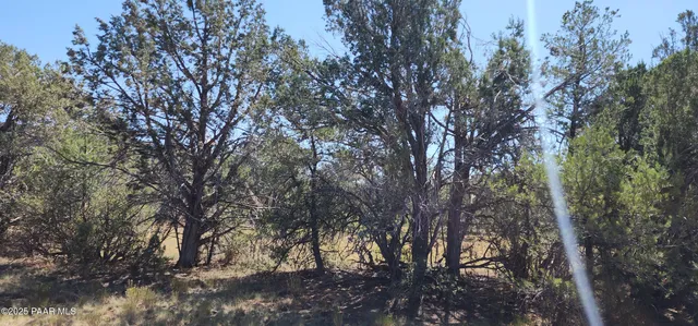 $485,000 | 36950 West Avenida Del Destino, Seligman, AZ 86337