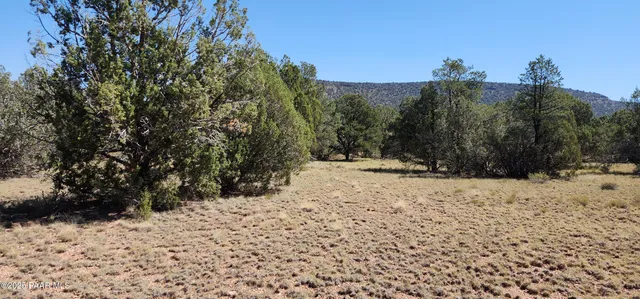 $485,000 | 36950 West Avenida Del Destino, Seligman, AZ 86337