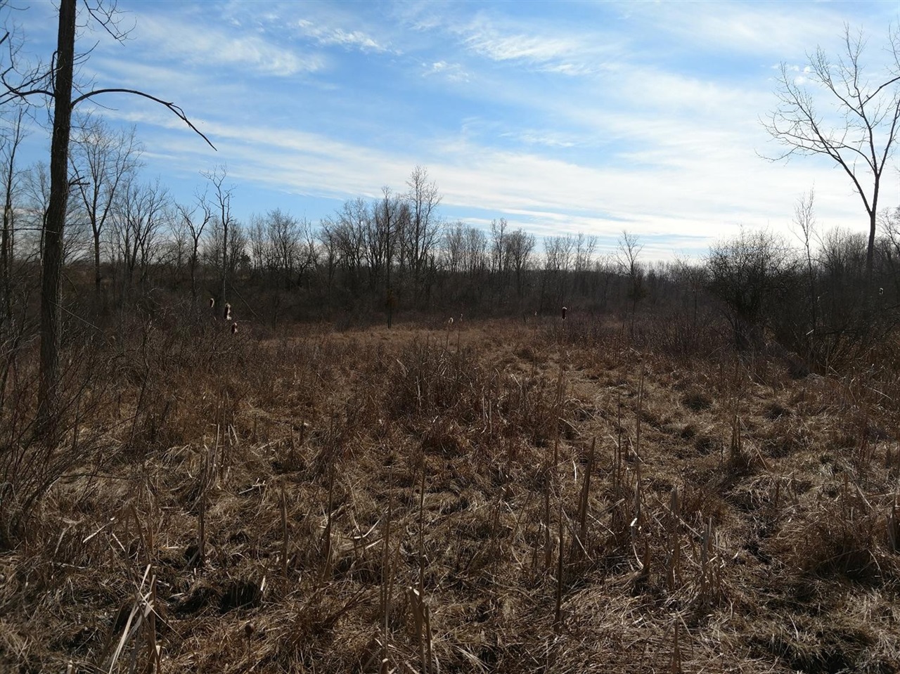 0 Allen Road Clinton, MI 49236 - Photo 6 of 6