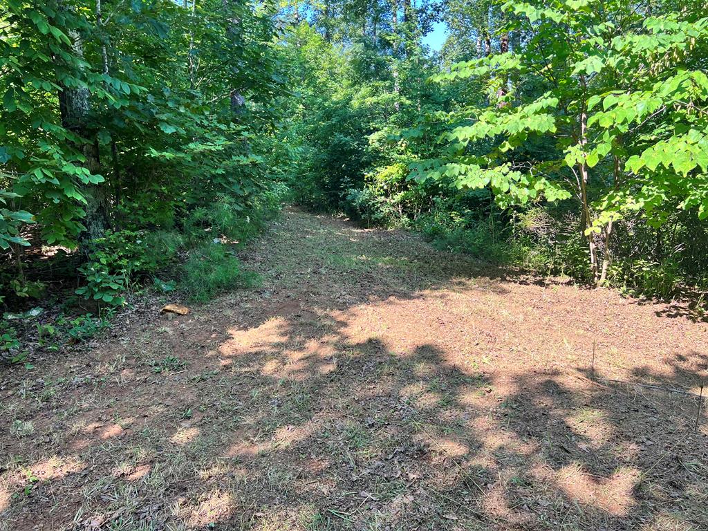 0 Puppy Creek Farm Road, Unit 22 Stuart, VA 24171 - Photo 6 of 28 Gallery Image 6
