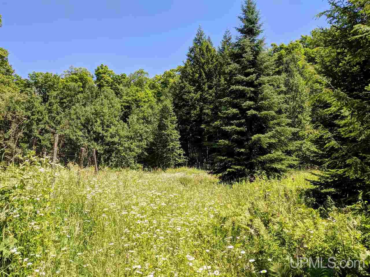 635 Co Road Marquette, MI 49855 - Photo 47 of 50