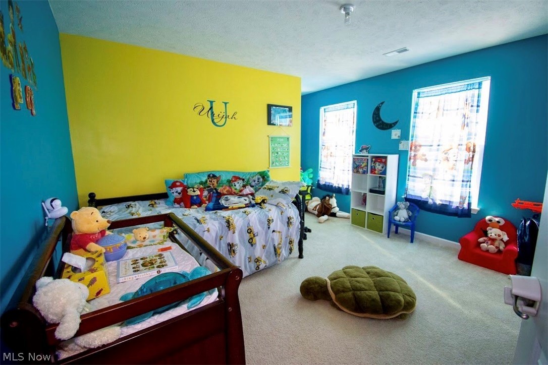 2100 Fowl Road Elyria, OH 44035 - Photo 13 of 22 Wow! Love these colors in the second bedroom!