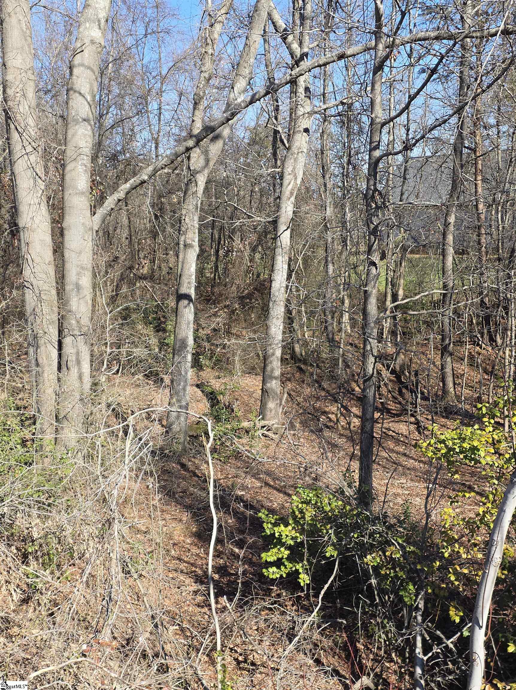 0 Stallings Road Taylors, SC 29687 - Photo 3 of 3