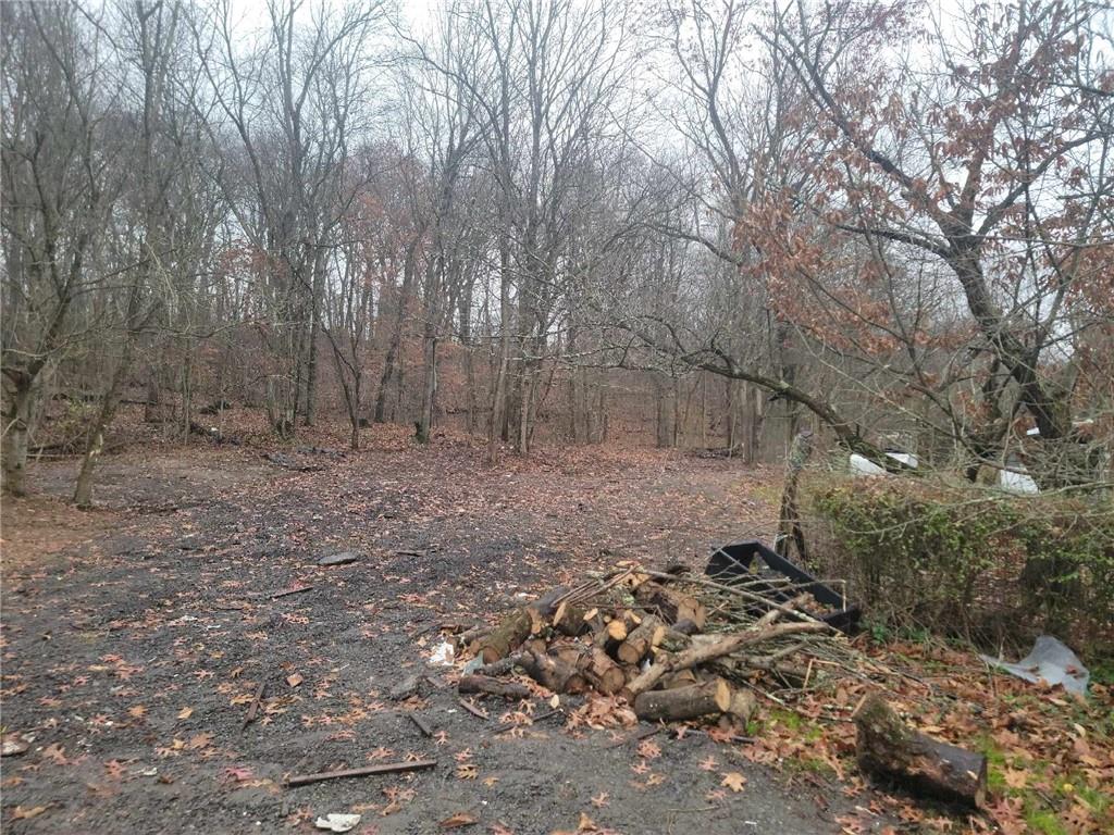2191 Nilan Road Point Marion, PA 15474 - Photo 3 of 15 a view of a dry yard with trees