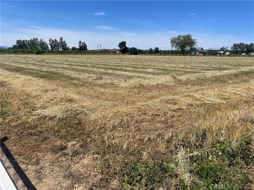 0 Reno Avenue Gerber, CA 96035 - Photo 2 of 2 a view of an ocean