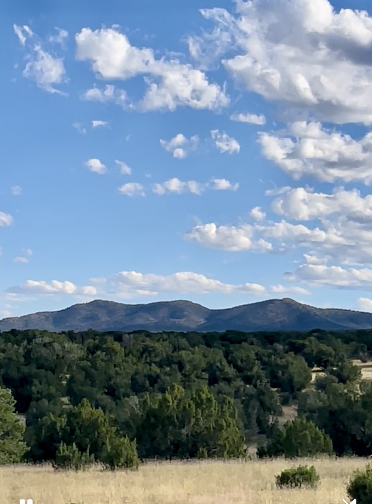 65 Grenfell Ranch Road Cerrillos, NM 87010 - Photo 43 of 46