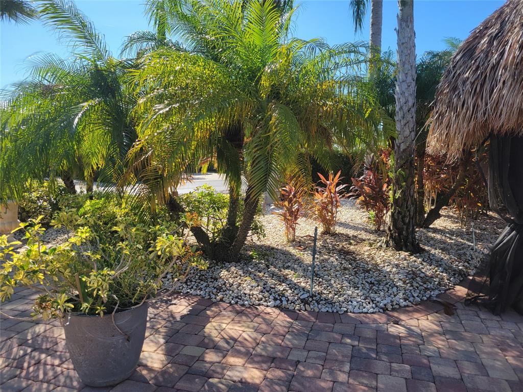 605 Southwest 40th Cove Okeechobee, FL 34974 - Photo 4 of 10 a view of a garden with plants and trees