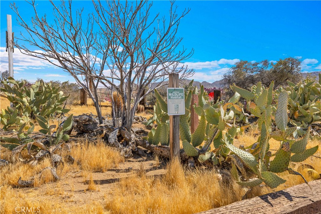 7662 Quail Springs Road Joshua Tree, CA 92252 - Photo 40 of 70