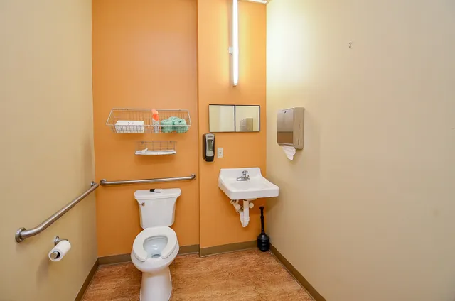 a bathroom with a sink and a toilet