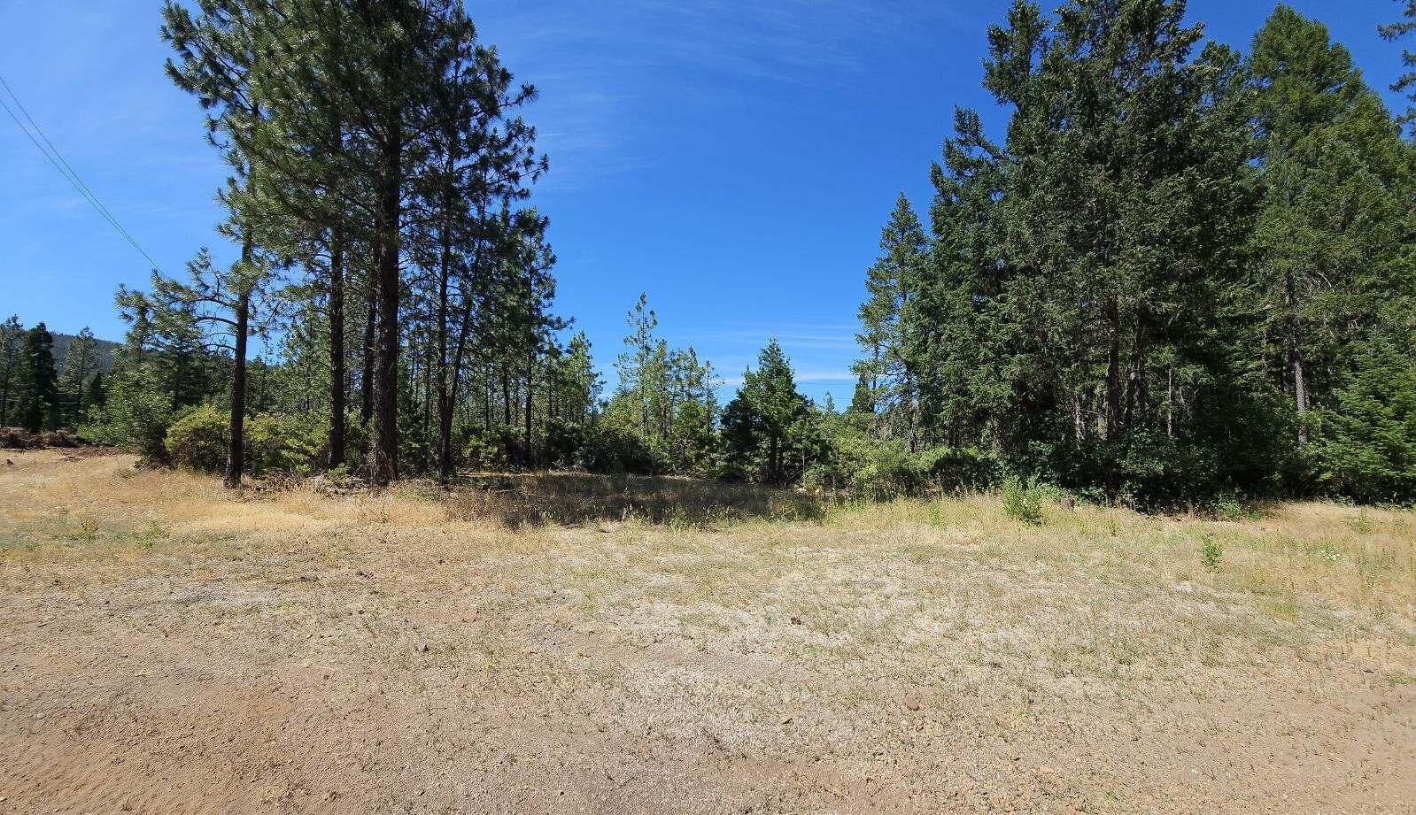 1050 Lone Mountain Road O'Brien, OR 97534 - Photo 3 of 3 Lone Mtn 1050 pic 4