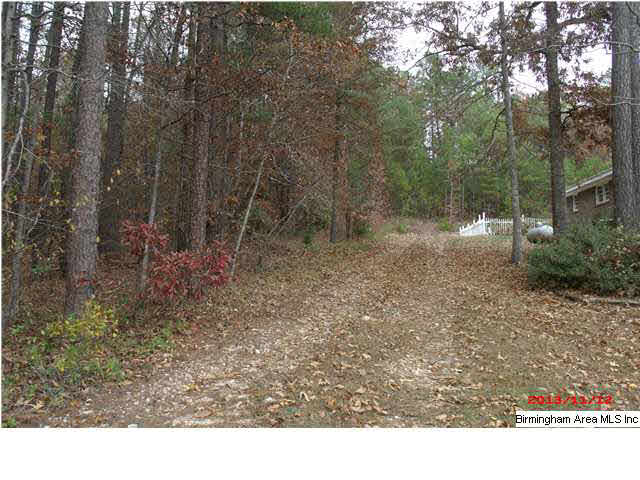 2031 Mark Green Road Jacksonville, AL 36265 - Photo 13 of 14