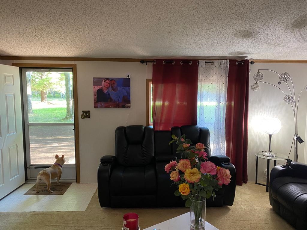 10700 Ashard Road Lake, MI 48632 - Photo 8 of 22 1904322-11.JPG