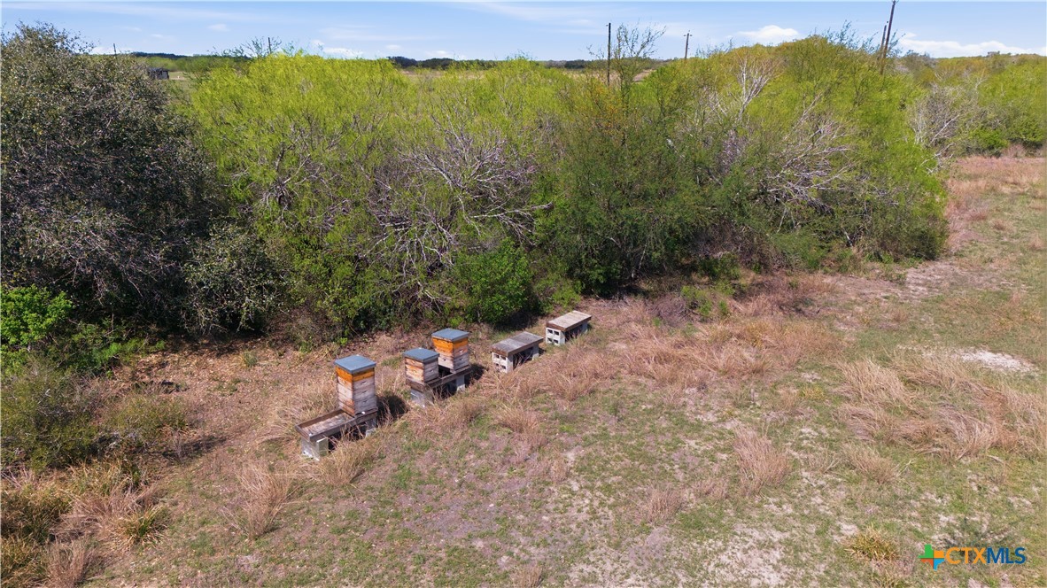 130 Old Goliad Road Refugio, TX 78377 - Photo 26 of 37