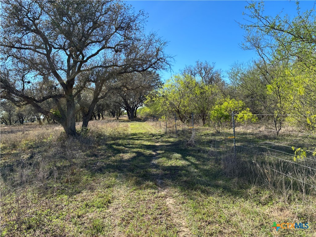 130 Old Goliad Road Refugio, TX 78377 - Photo 31 of 37