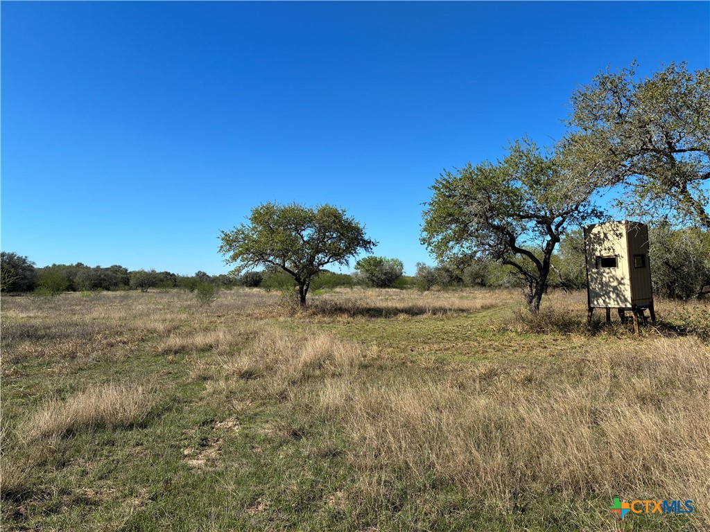 130 Old Goliad Road Refugio, TX 78377 - Photo 32 of 37
