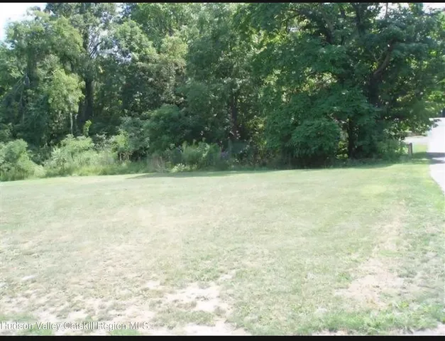 a view of a yard with trees