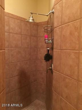Undisclosed Address Gold Canyon, AZ 85118 - Photo 29 of 45 a bathroom with a shower