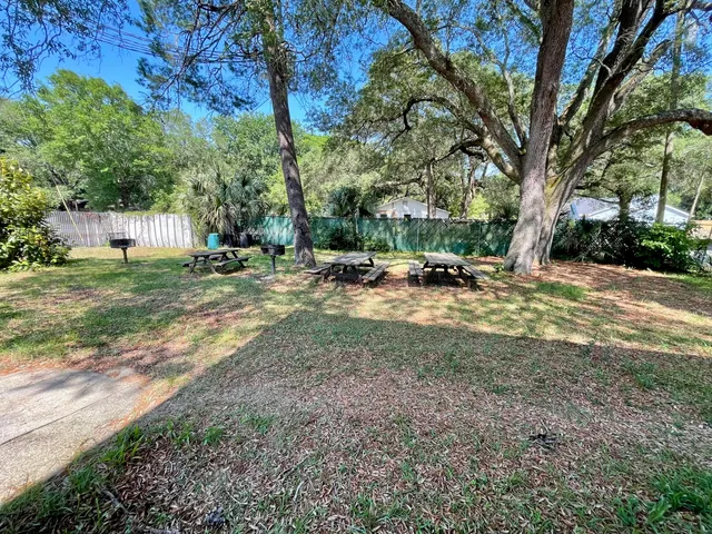a view of a yard with a tree