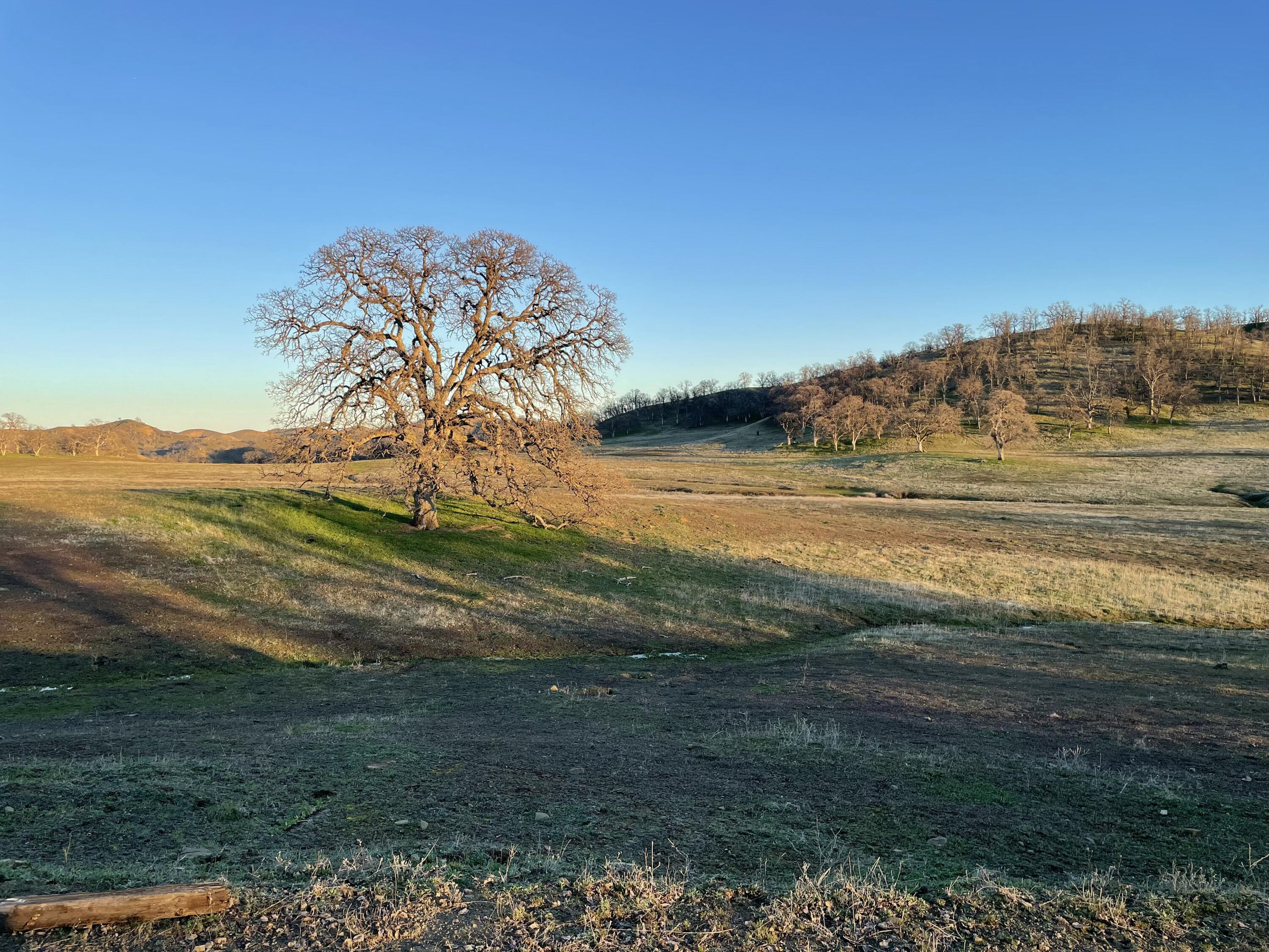 Fiddlers Road Platina, CA 96076 - Photo 19 of 26 IMG_3870