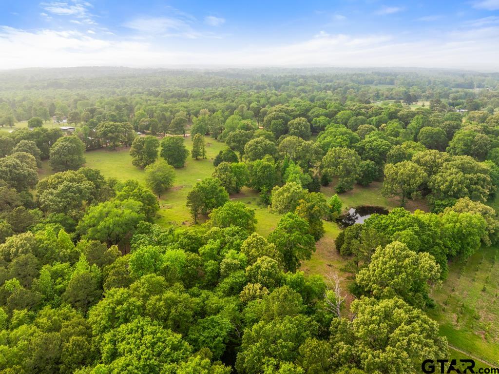 0 Primera Road Tyler, TX 75705 - Photo 2 of 10 an aerial view of residential houses with outdoor space and trees