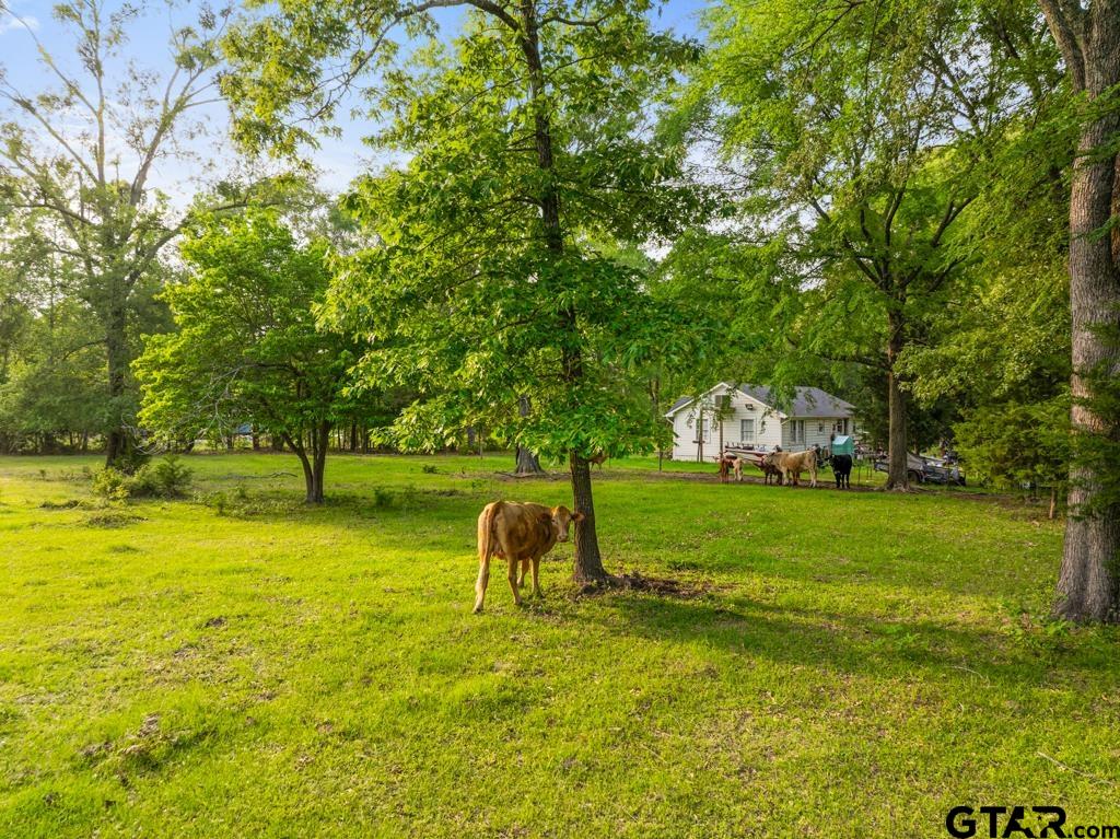0 Primera Road Tyler, TX 75705 - Photo 4 of 10 a view of yard with swimming pool and trees in the background