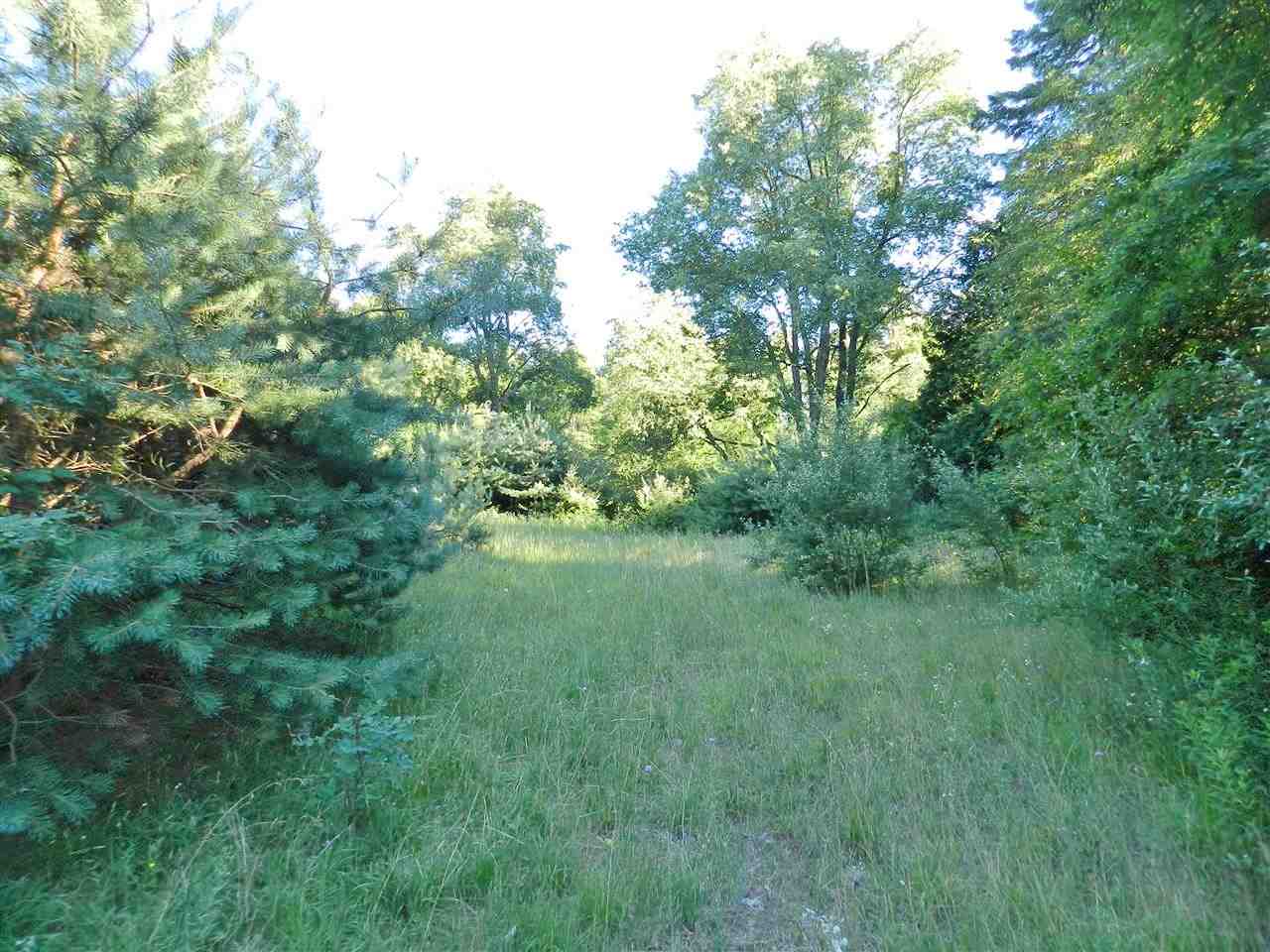 7529 Blue Road Southwest Fife Lake, MI 49633 - Photo 38 of 62 1865960-37.JPG