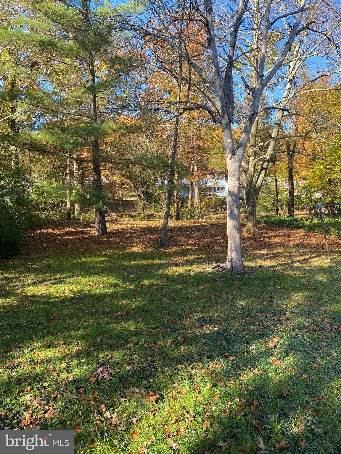 12600 Silverbirch Lane Laurel, MD 20708 - Photo 3 of 4 Rear Yard