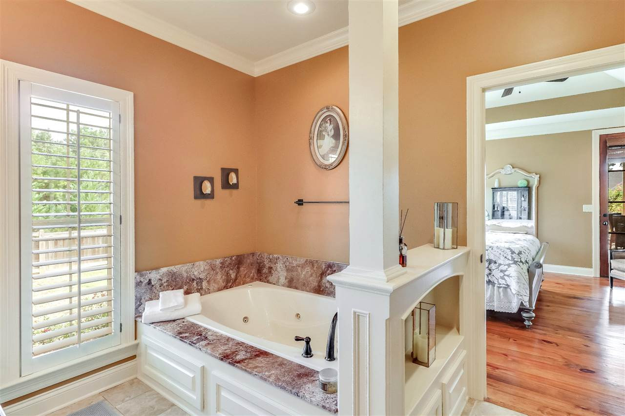 158 Sycamore Ridge Madison, MS 39110 - Photo 19 of 39 Photo 20