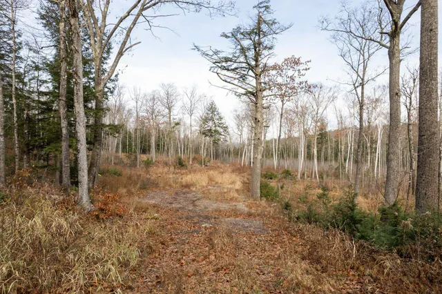 $239,000 | 0 Corno Road, Unit 4, Canaan, NH 03741