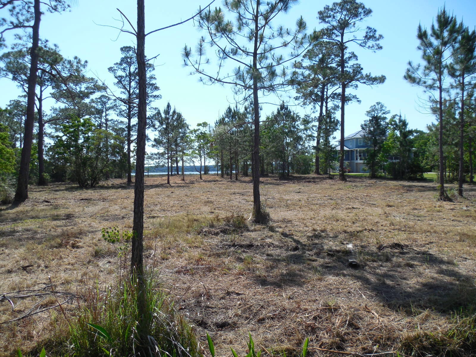 Tbd Petersen Point Road, Unit PARCEL 4 Milton, FL 32583 - Photo 3 of 6 DSCN1000
