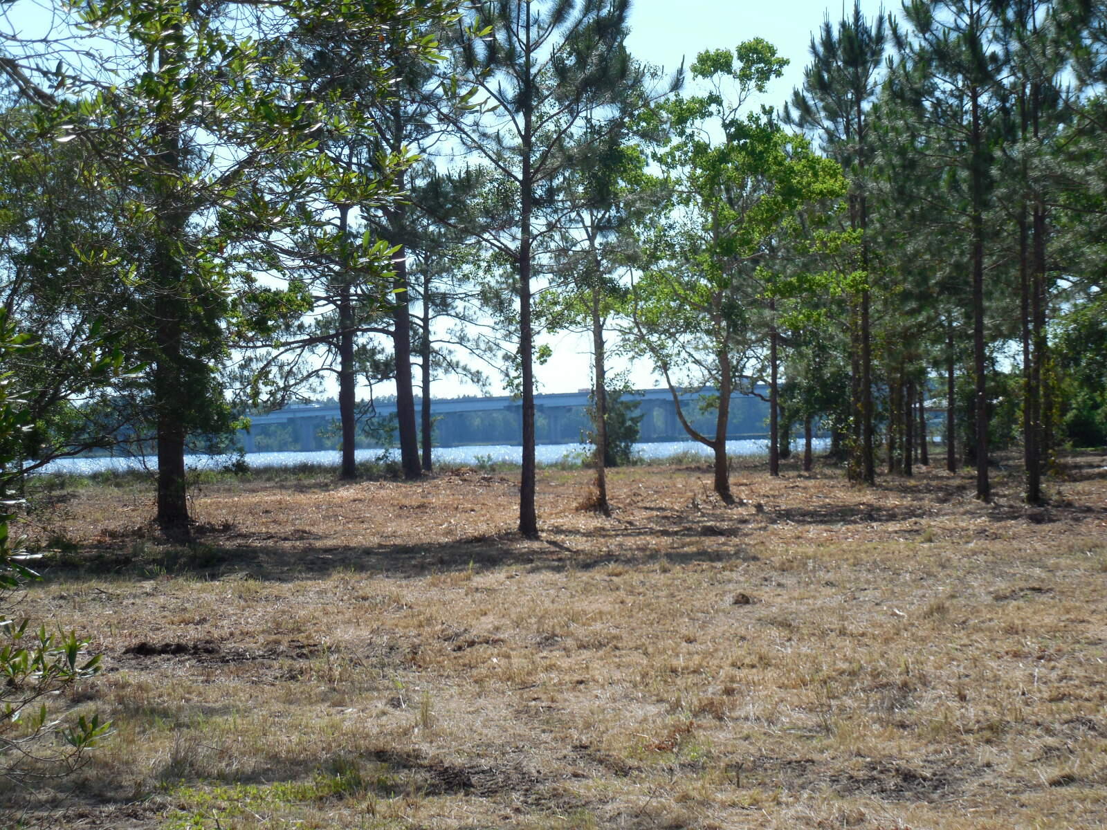 Tbd Petersen Point Road, Unit PARCEL 4 Milton, FL 32583 - Photo 4 of 6 DSCN1003