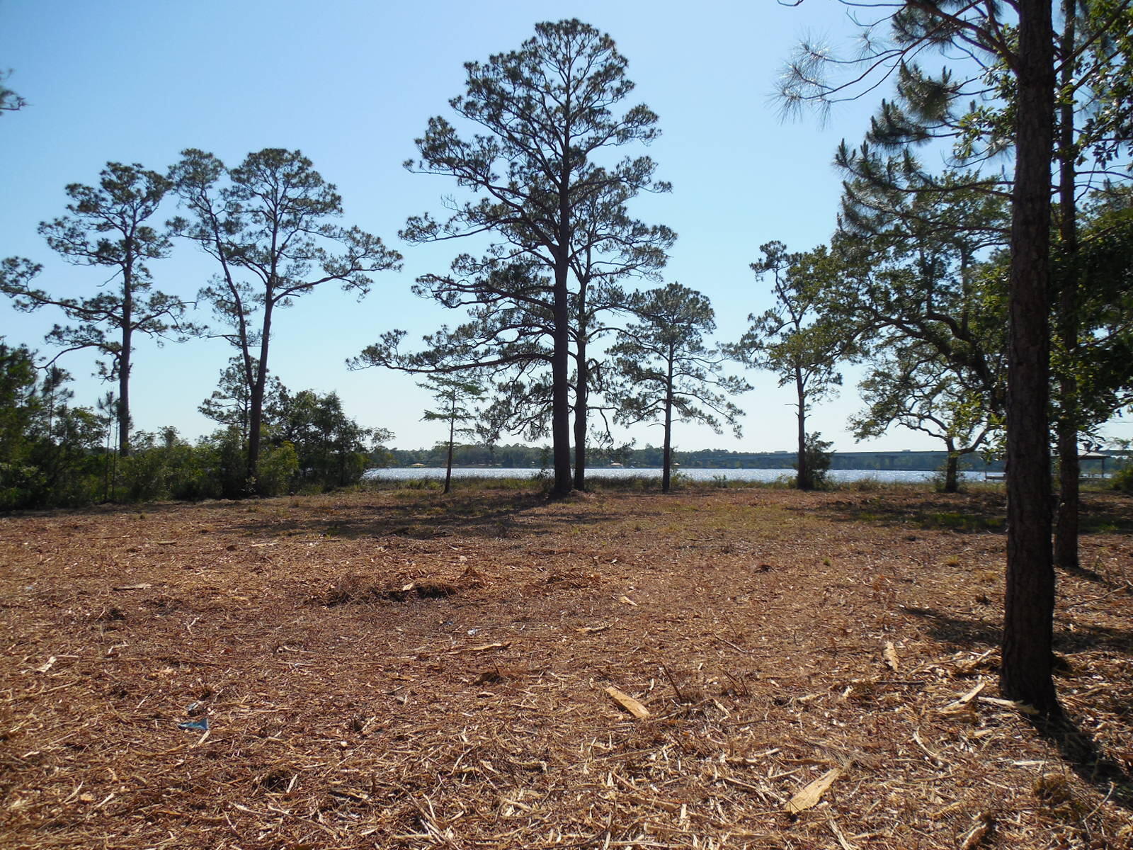 Tbd Petersen Point Road, Unit PARCEL 4 Milton, FL 32583 - Photo 5 of 6 DSCN1019