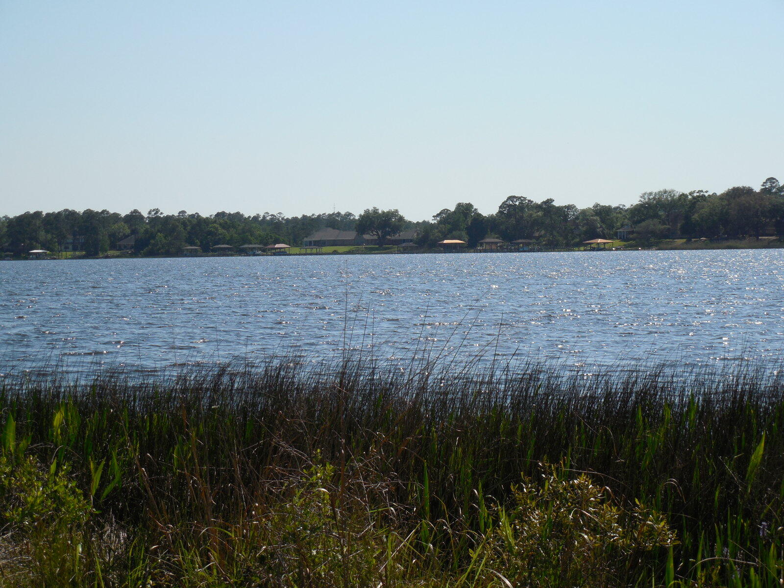 Tbd Petersen Point Road, Unit PARCEL 4 Milton, FL 32583 - Photo 6 of 6 DSCN1043