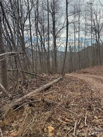 $650,000 | 99999 Penland Road, Hayesville, NC 28904