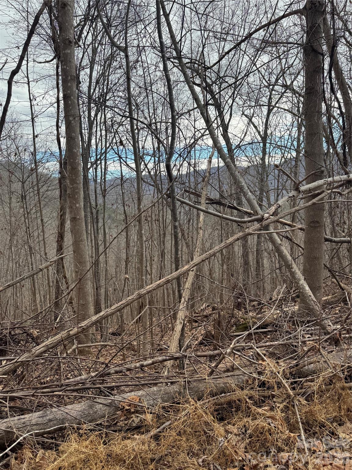 99999 Penland Road Hayesville, NC 28904 - Photo 2 of 3