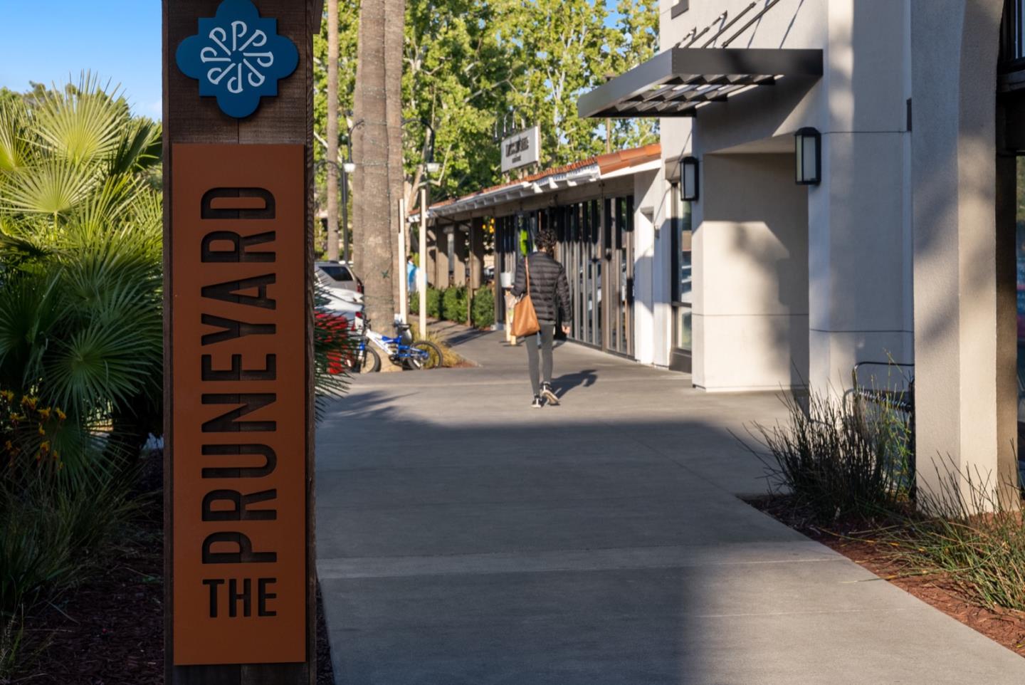 1240 Fewtrell Drive Campbell, CA 95008 - Photo 49 of 50 a view of path along with potted plants