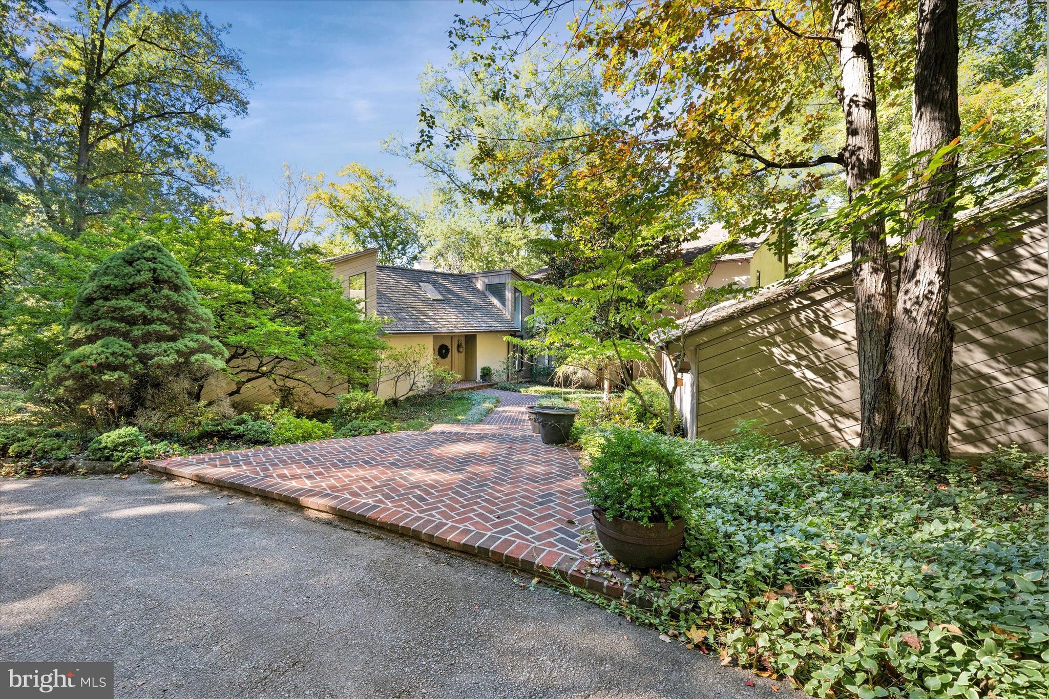 a view of a street with potted plants and a large tree