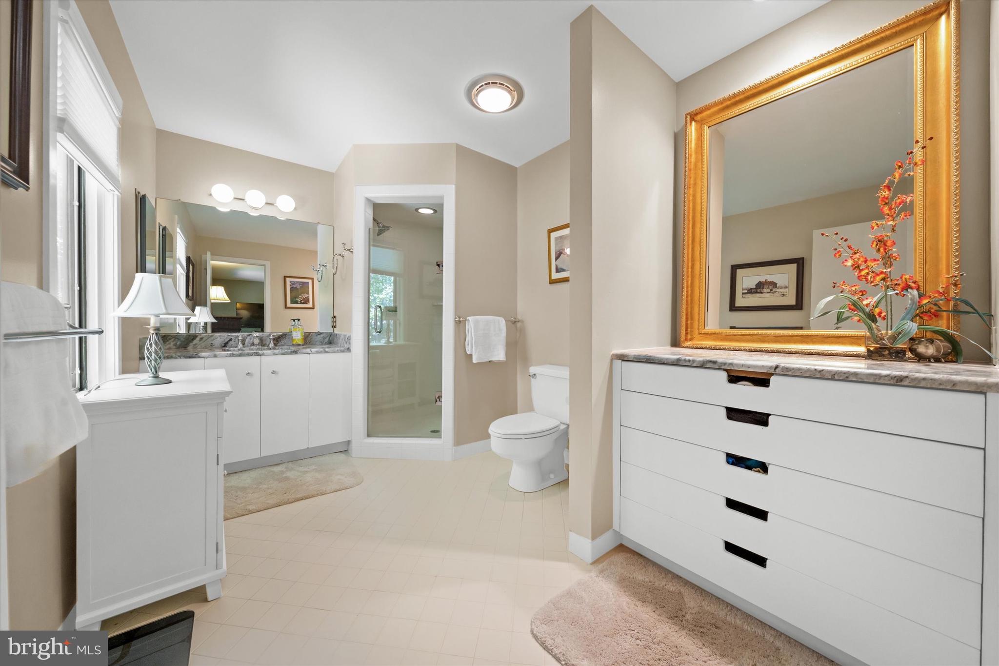 6 Carriage Road Greenville, DE 19807 - Photo 39 of 59 a bathroom with a sink a toilet and a large mirror