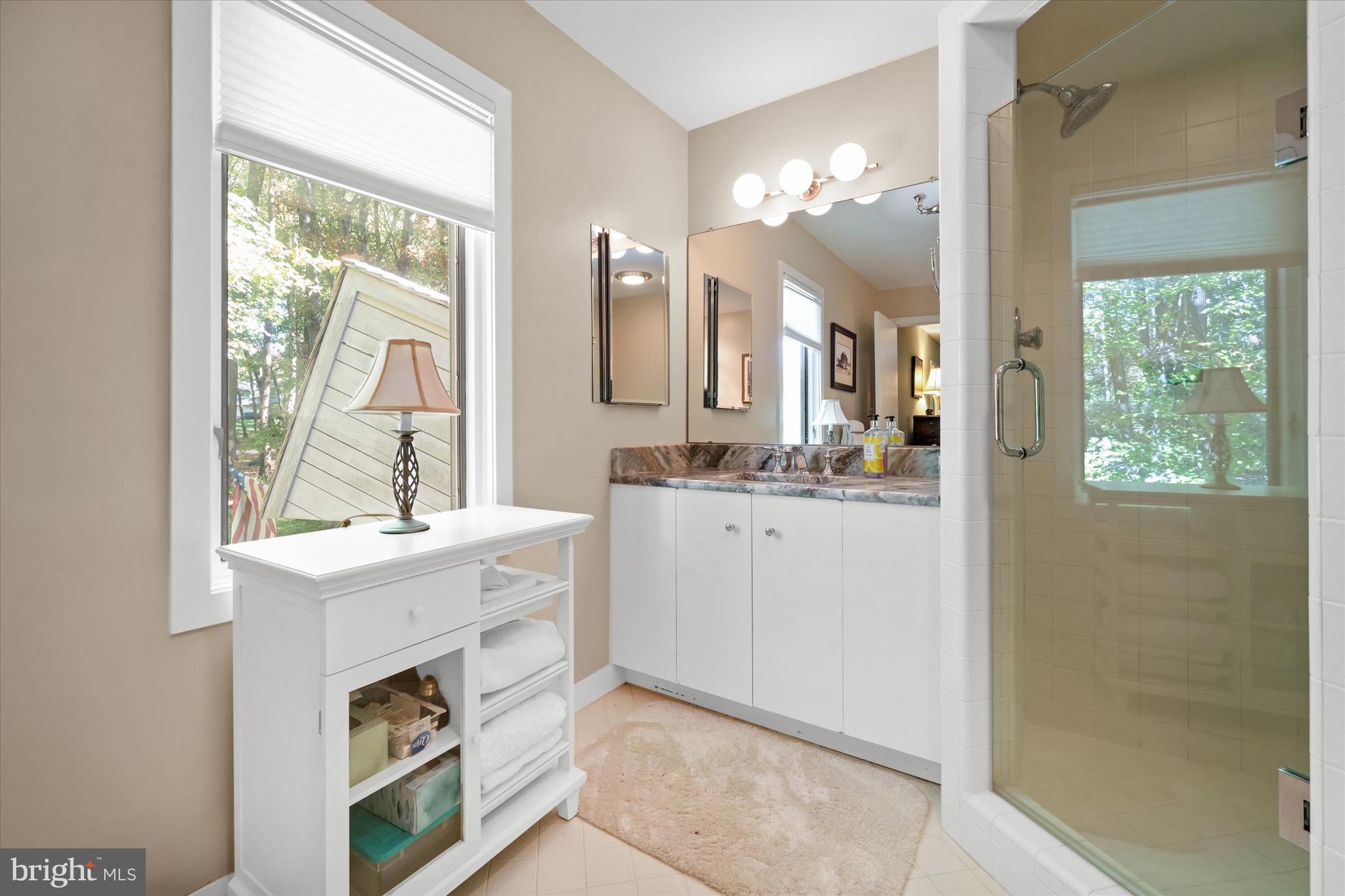 6 Carriage Road Greenville, DE 19807 - Photo 40 of 59 a bathroom with a sink vanity and a mirror