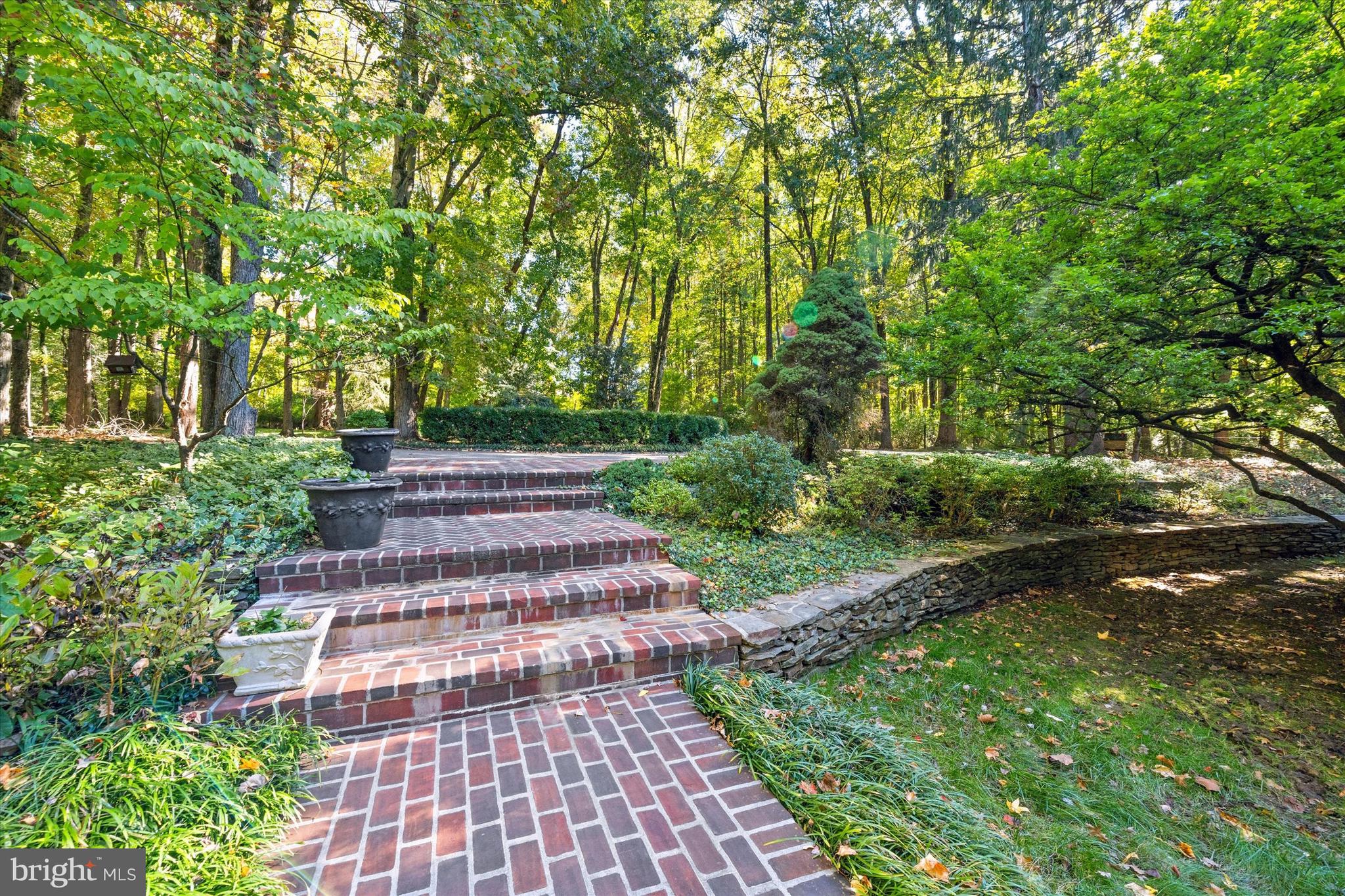 6 Carriage Road Greenville, DE 19807 - Photo 5 of 59 a view of a yard with plants and large trees