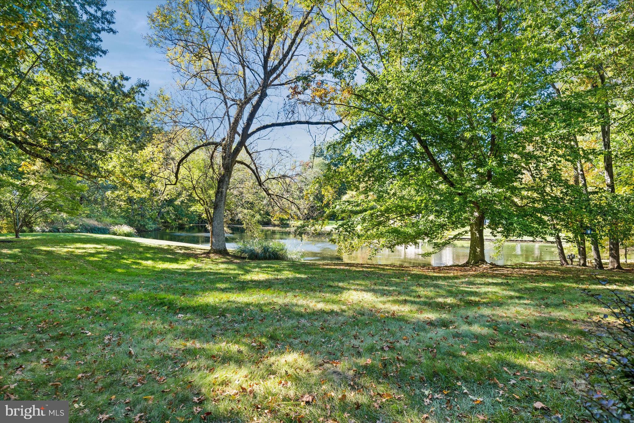 6 Carriage Road Greenville, DE 19807 - Photo 55 of 59 a view of a yard with a tree
