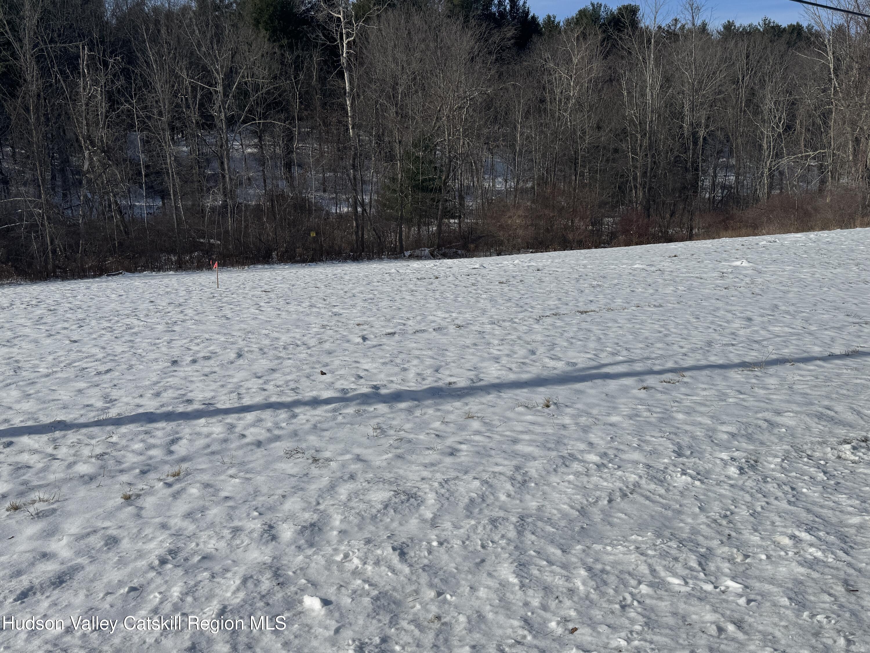 Lot 3 Snydertown Road Craryville, NY 12521 - Photo 2 of 10 IMG_0533