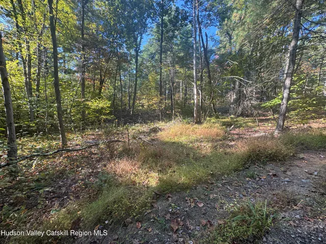 $132,000 | Lot 3 Snydertown Road, Craryville, NY 12521